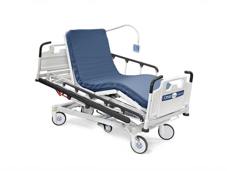 Hadassah Medical Moscow Malvestio